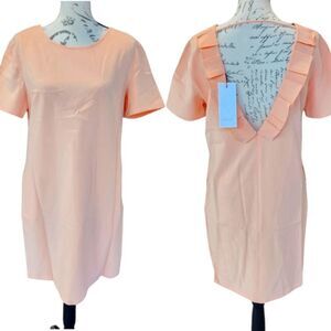 Anthropologie See U Soon Deep V Cut Ruffle Back Blush Short Sleeve Shift dress M